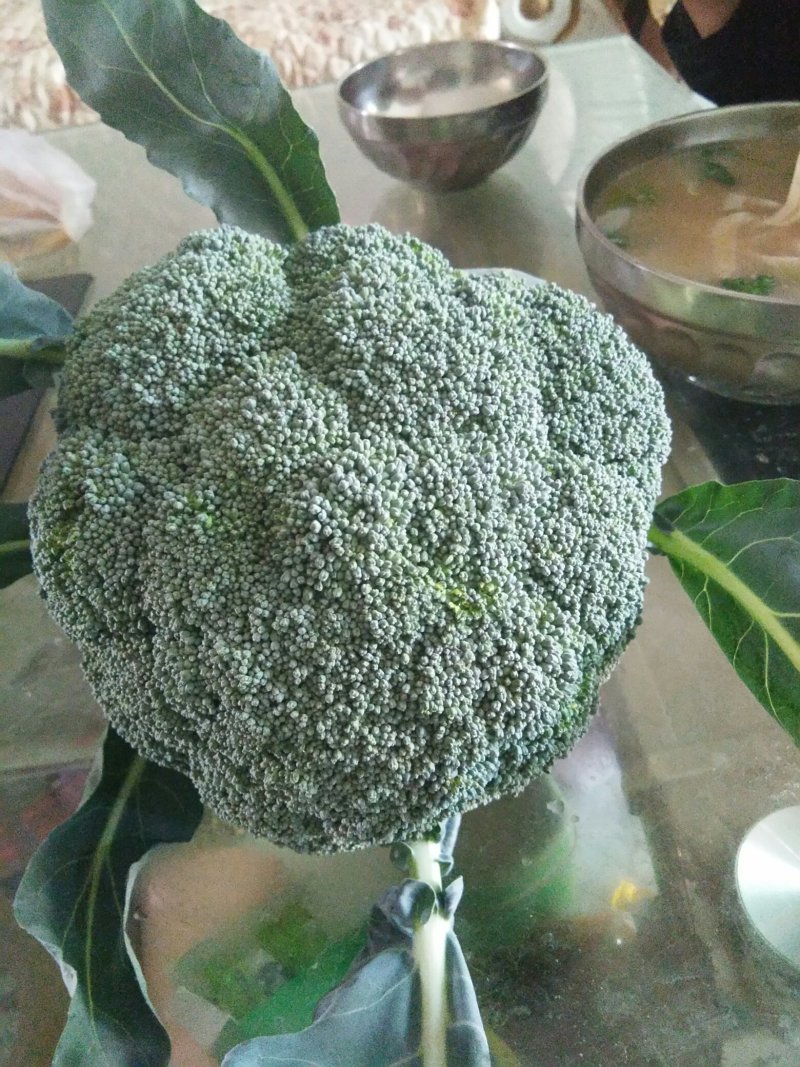 旺旺甘蓝精品小包菜。