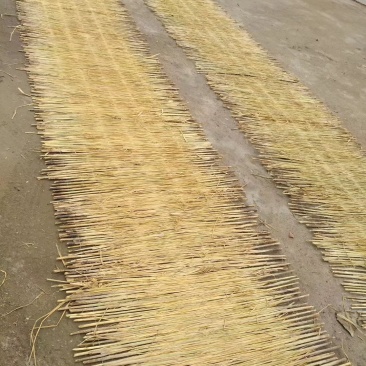 草坪保水草帘草绳草帘打包绳好绳，，各种规格，，产地直销