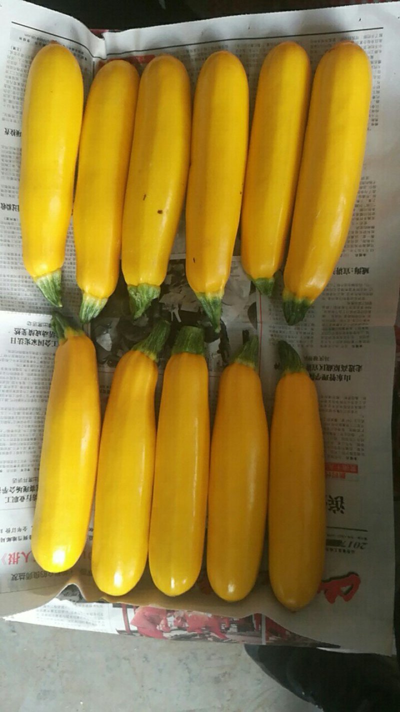 香蕉西葫芦
