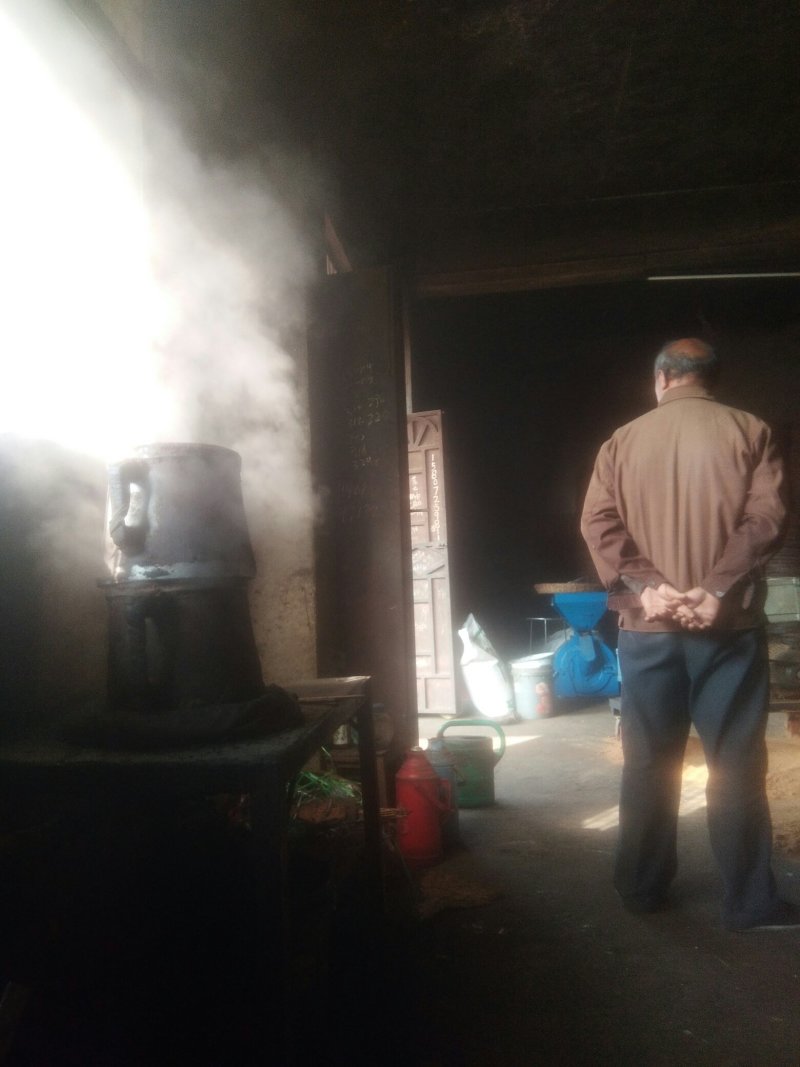 油茶油