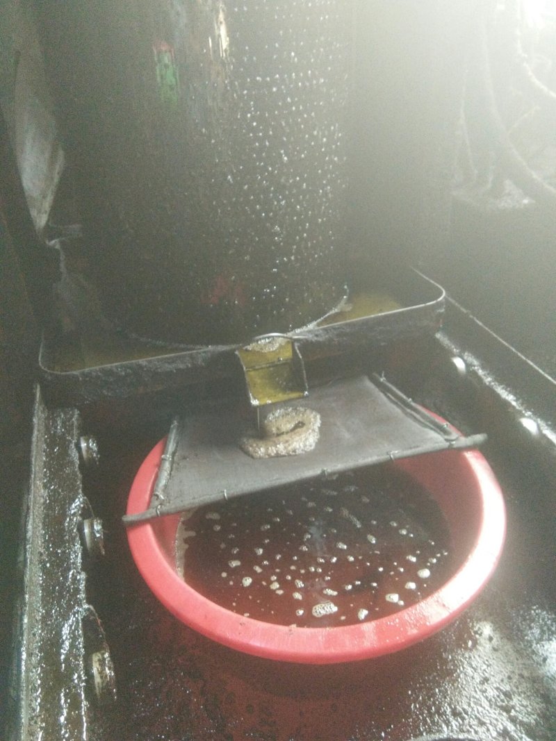 油茶油