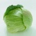 绿橄榄