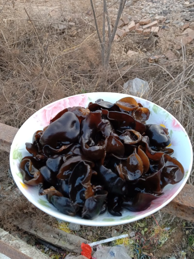 黑木耳大小都有，各种品种皆全，品质保障可在线下单