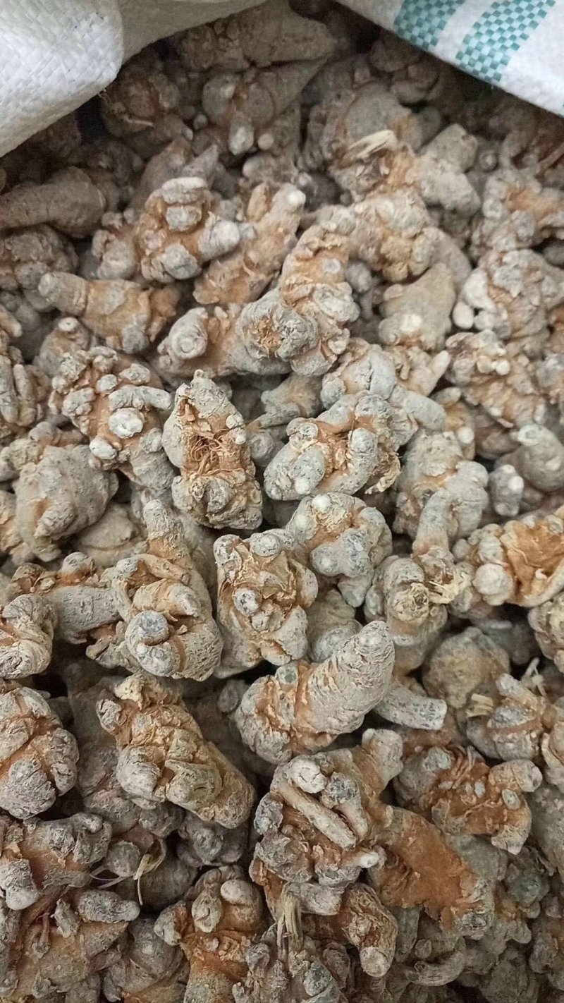 80头三七