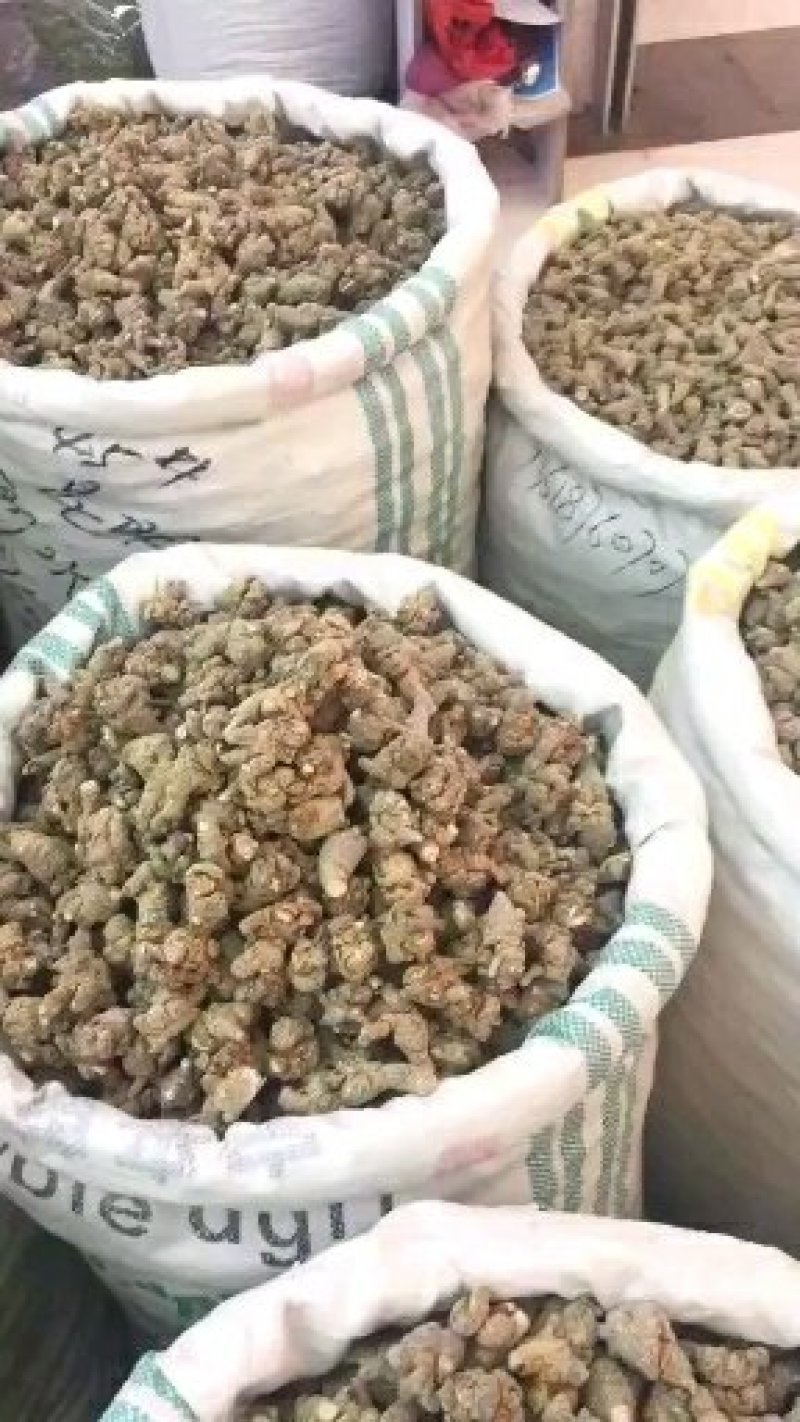 60头三七