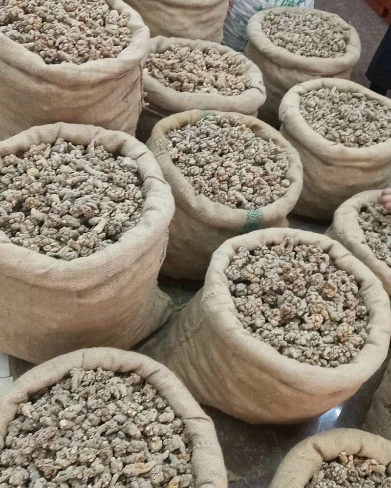 60头三七