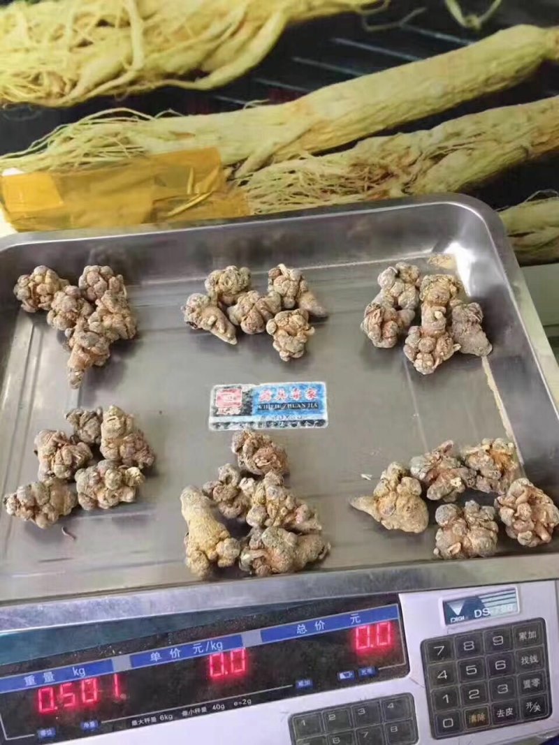三七