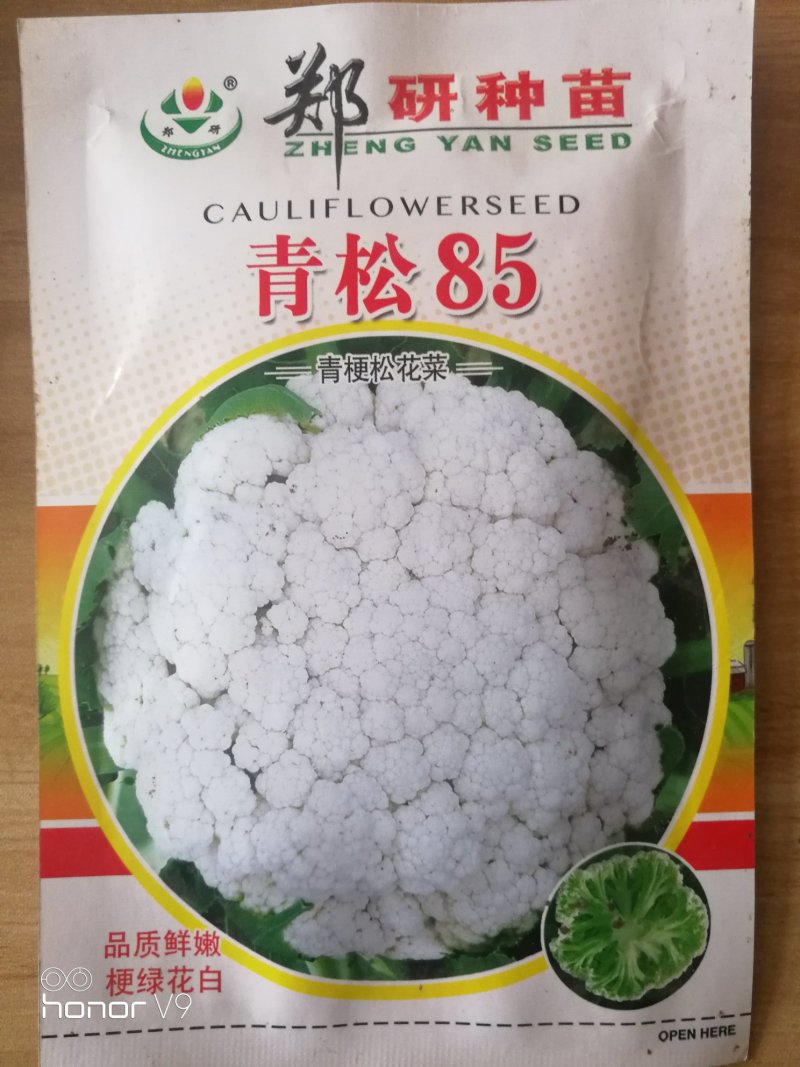 【精】郑研青松85菜花种子，花白梗青，小米粒