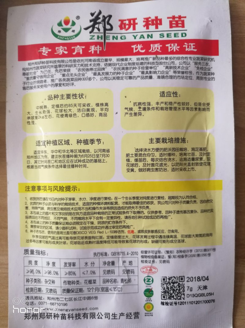 【精】郑研青松85菜花种子，花白梗青，小米粒