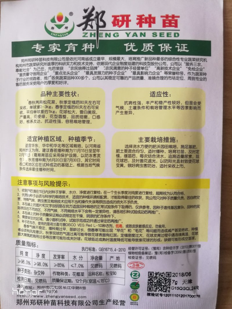 【精】郑研松宝80菜花种子，美观，商品性好，产量高