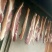 腊肉