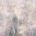 腾地处理3公分核桃树处理