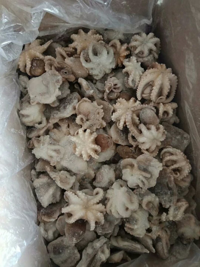 盐揉迷你小八爪