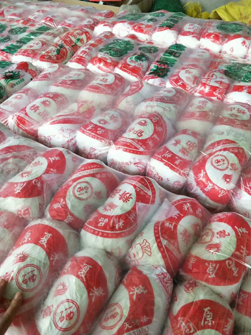 基地娃娃菜大量上市毛菜50颗一袋7两以上质量好可视频看货