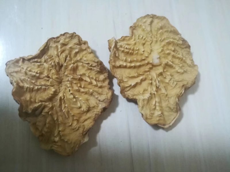 肉苁蓉鲜干片，冬季去皮切片100克