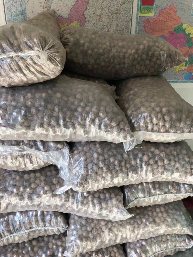 汉中细香核桃3000余斤