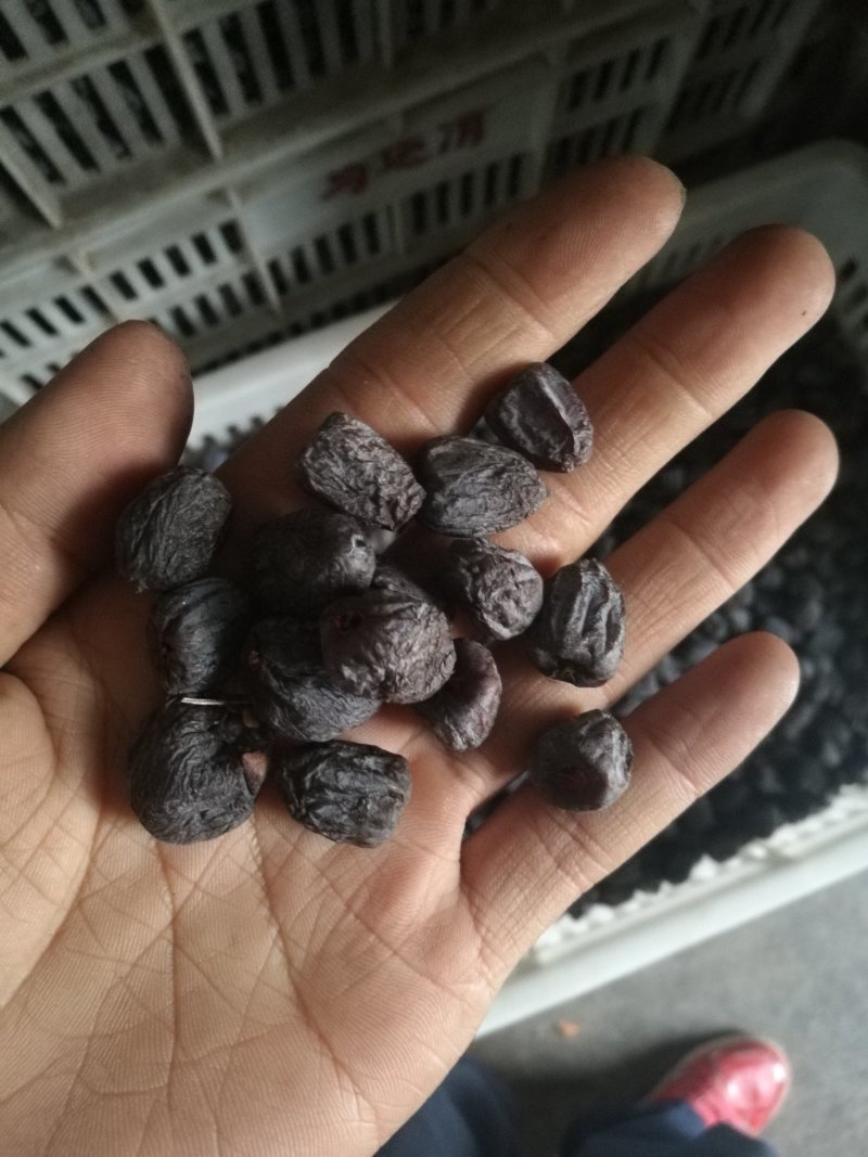 黑枣