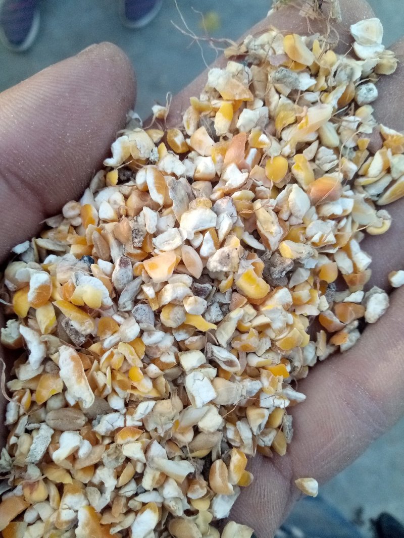 小麦玉米下脚料