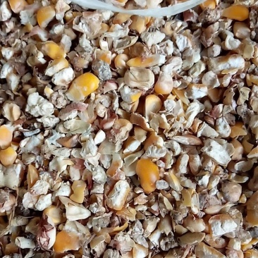 小麦玉米下脚料