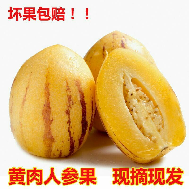 云南人生果五斤泡沫箱18包邮