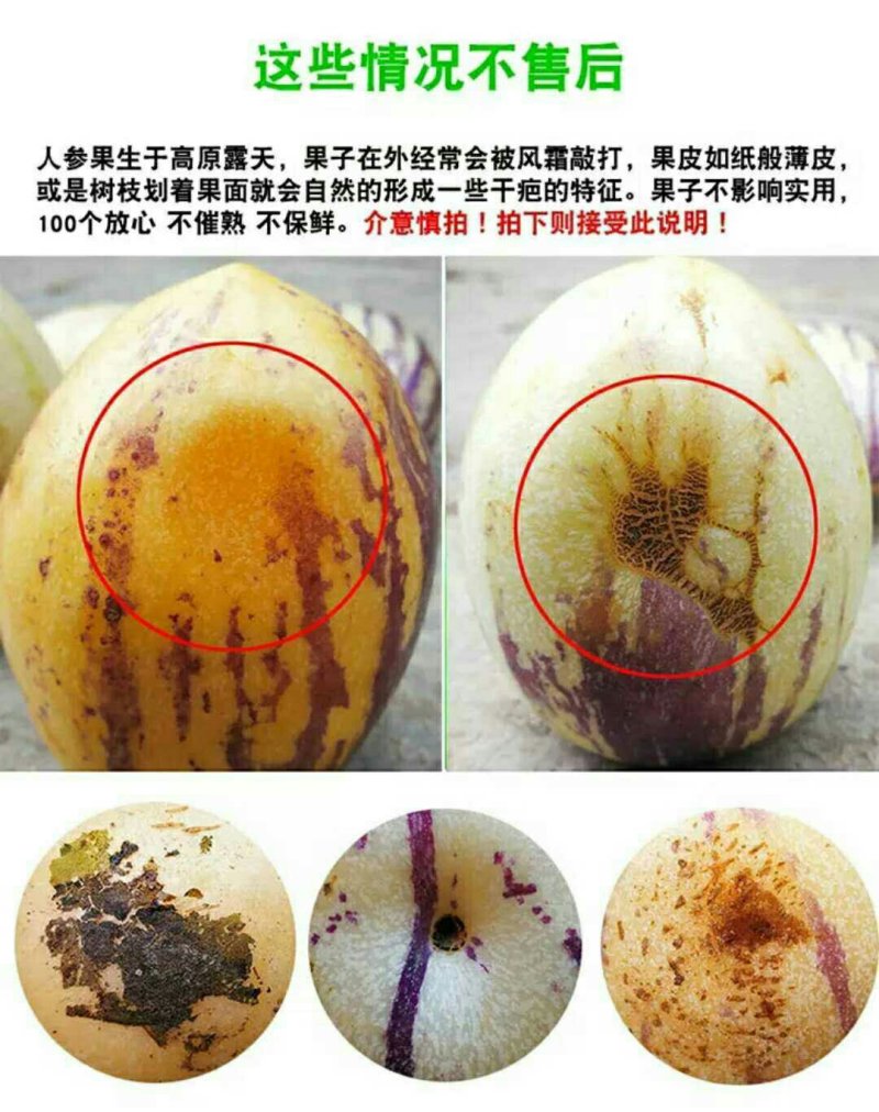 云南人生果五斤泡沫箱18包邮