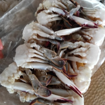 梭子蟹蟹块一箱14斤包肥