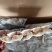 梭子蟹蟹块一箱14斤包肥