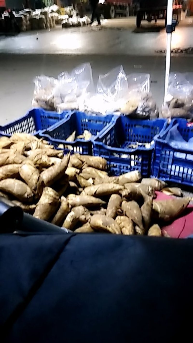 冬笋大量供应