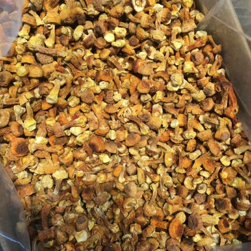 姬松茸，最新靓货，一斤包邮
