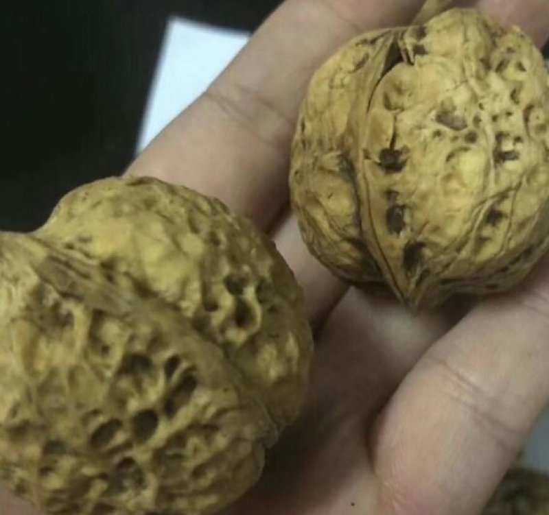 云南核桃纸皮核桃，30以上，产地发货，品质保证，欢迎下单