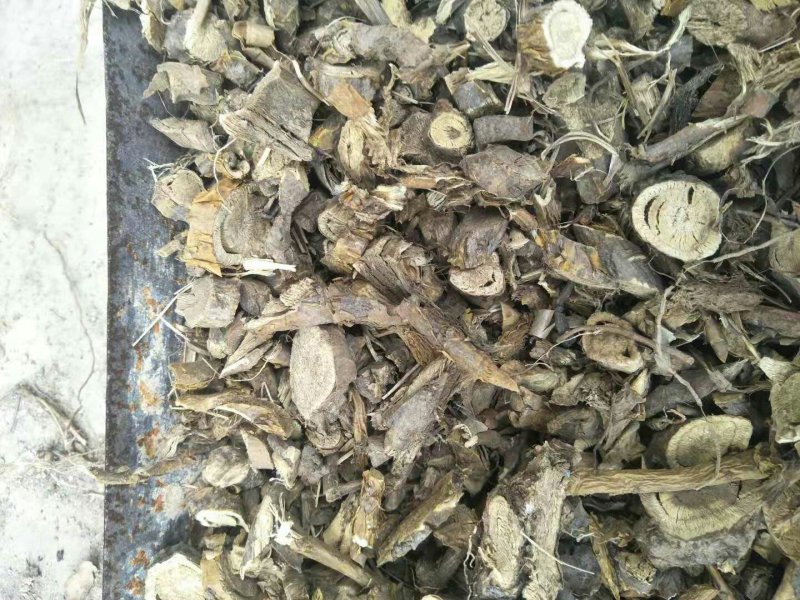 延安产苦参药厂投料通货