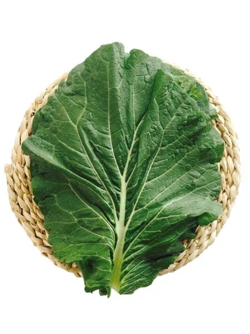 东北饭包白菜叶