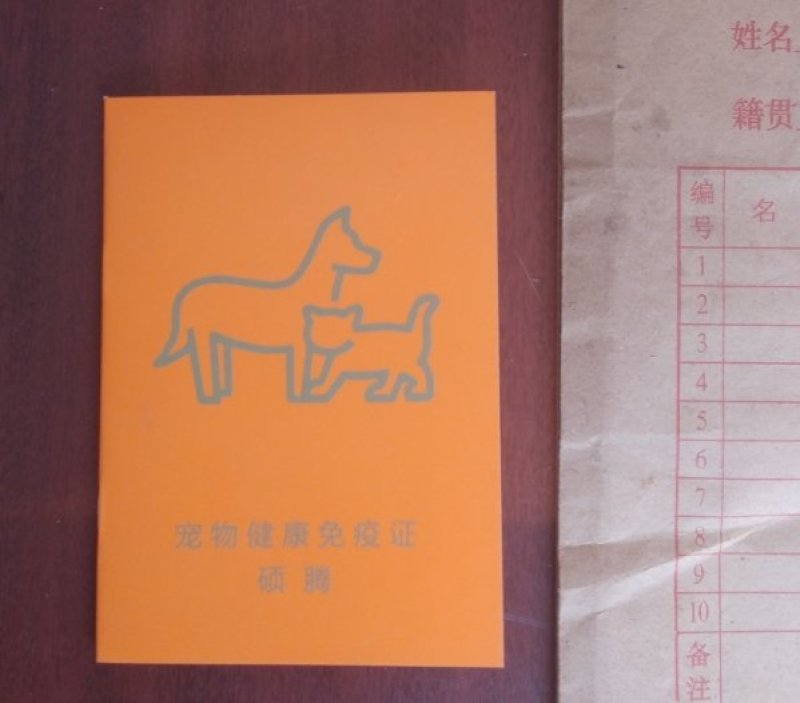纯种法斗