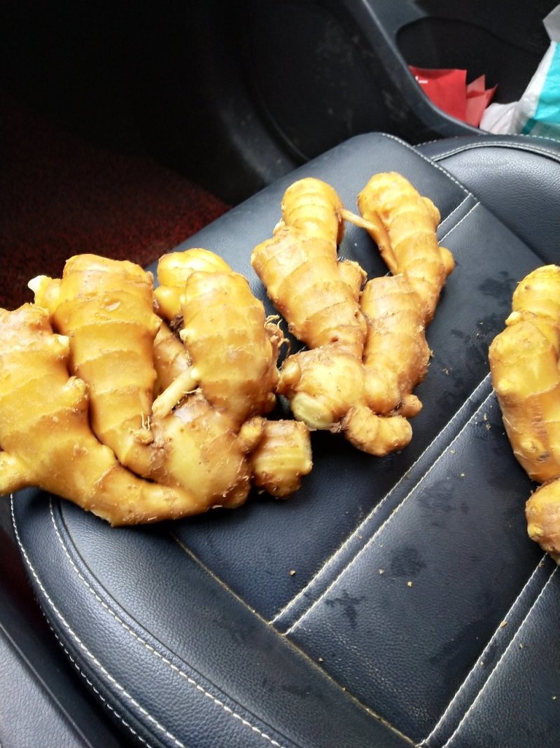 精品【老姜】品质好，质优价廉，货源充足，产地直供