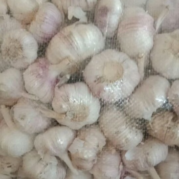 白皮蒜混级统货干蒜