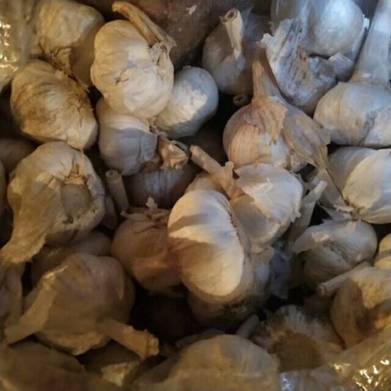 白皮蒜混级统货干蒜