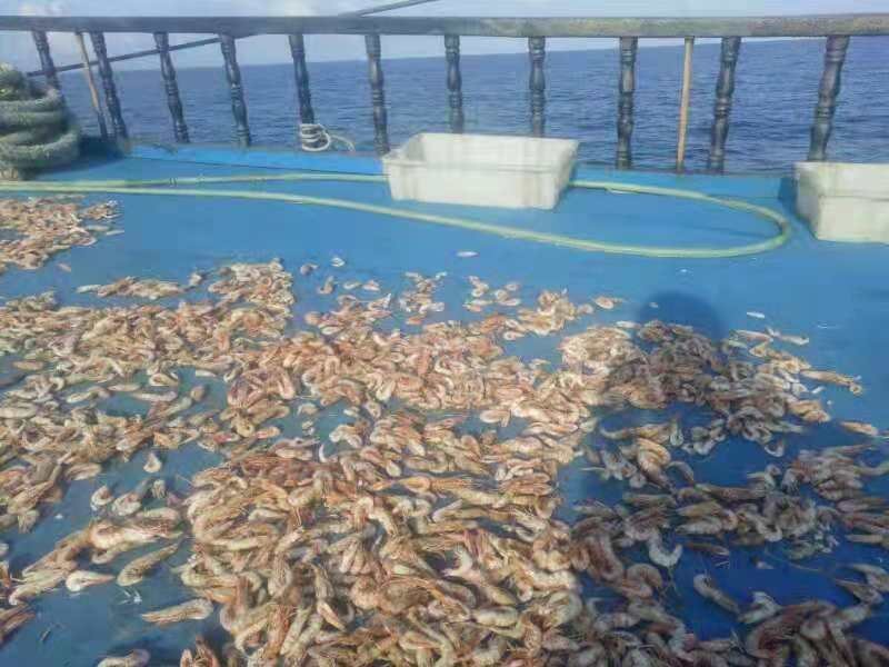 虾干