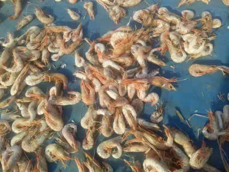 虾干