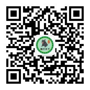生态黑土猪