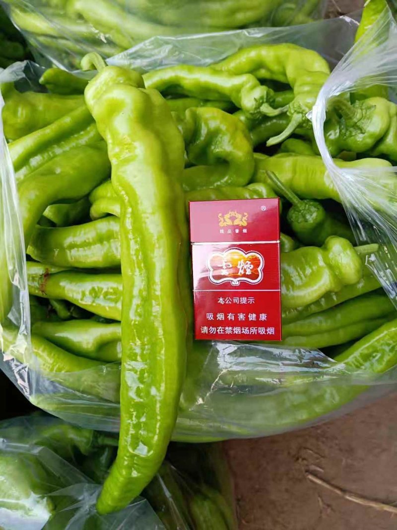 尖椒
