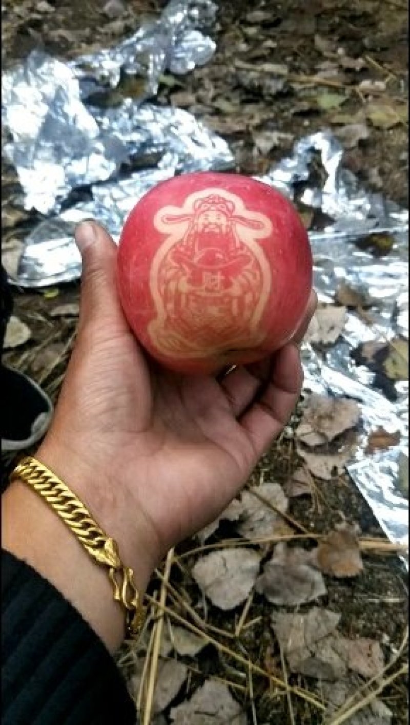 红富士苹果产地直批，一手货源，价格便宜，货源充足