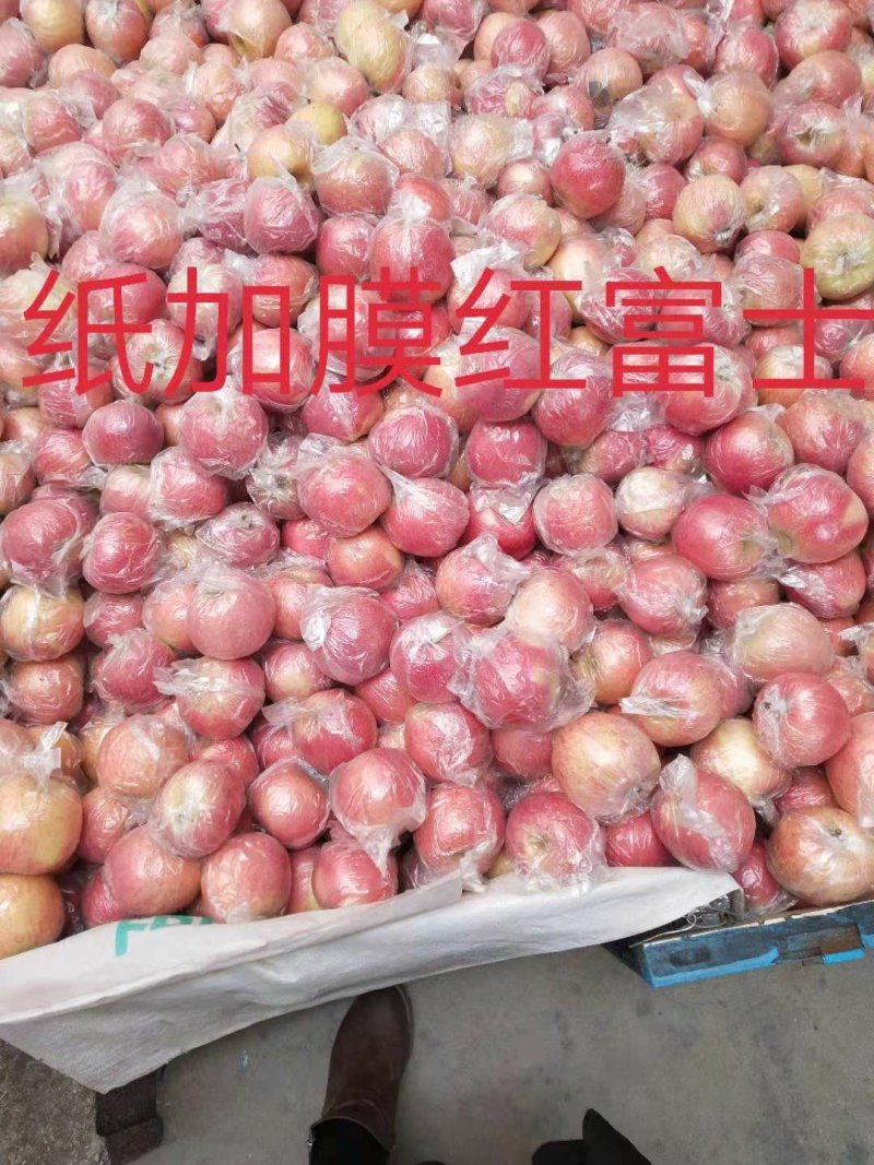 红富士苹果产地直批，一手货源，价格便宜，货源充足