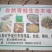 青蛙卵块，蝌蚪