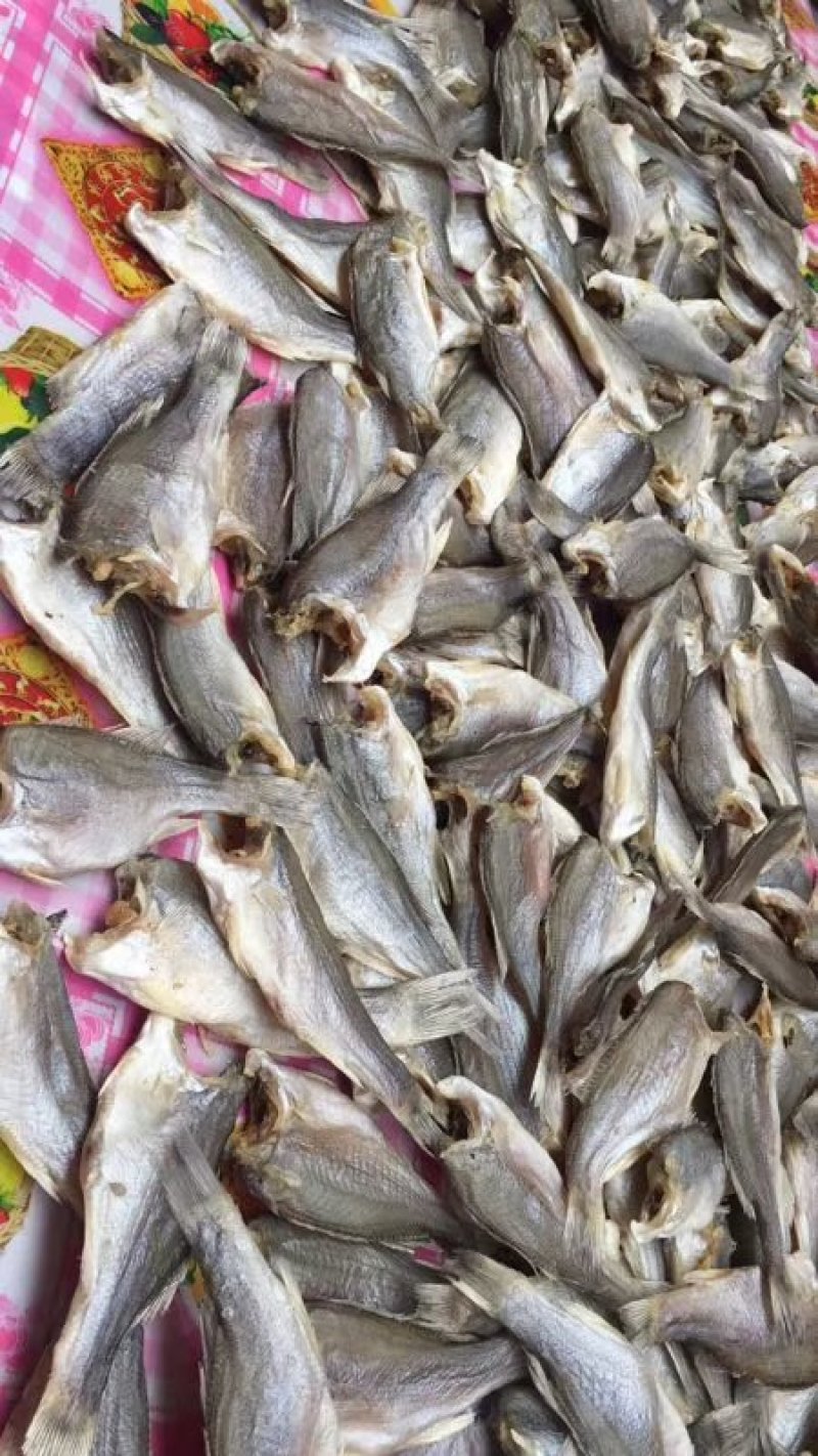 鱼干