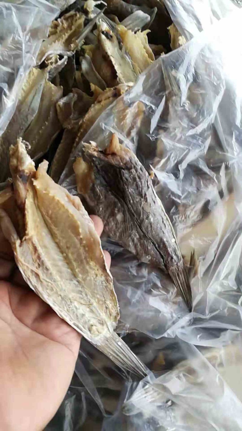 鱼干
