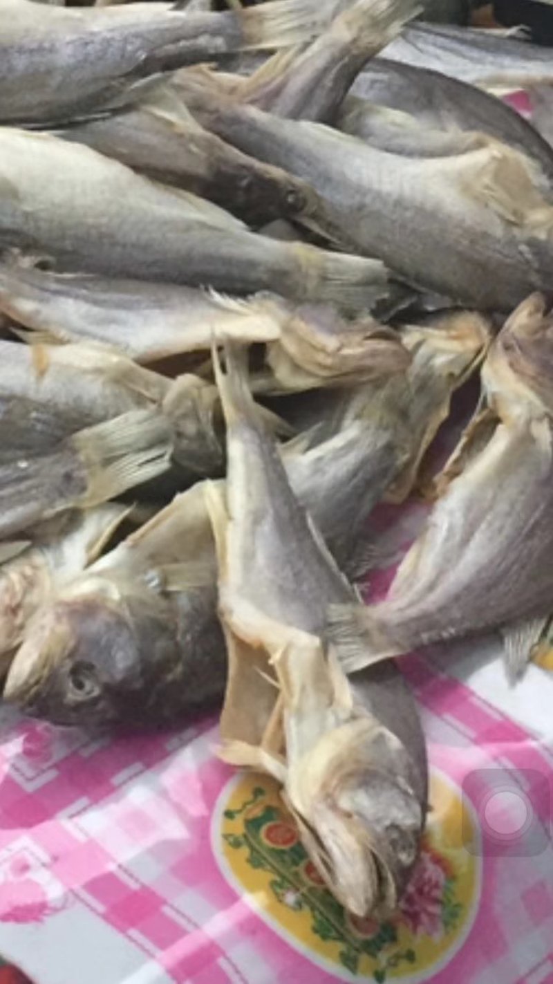 鱼干