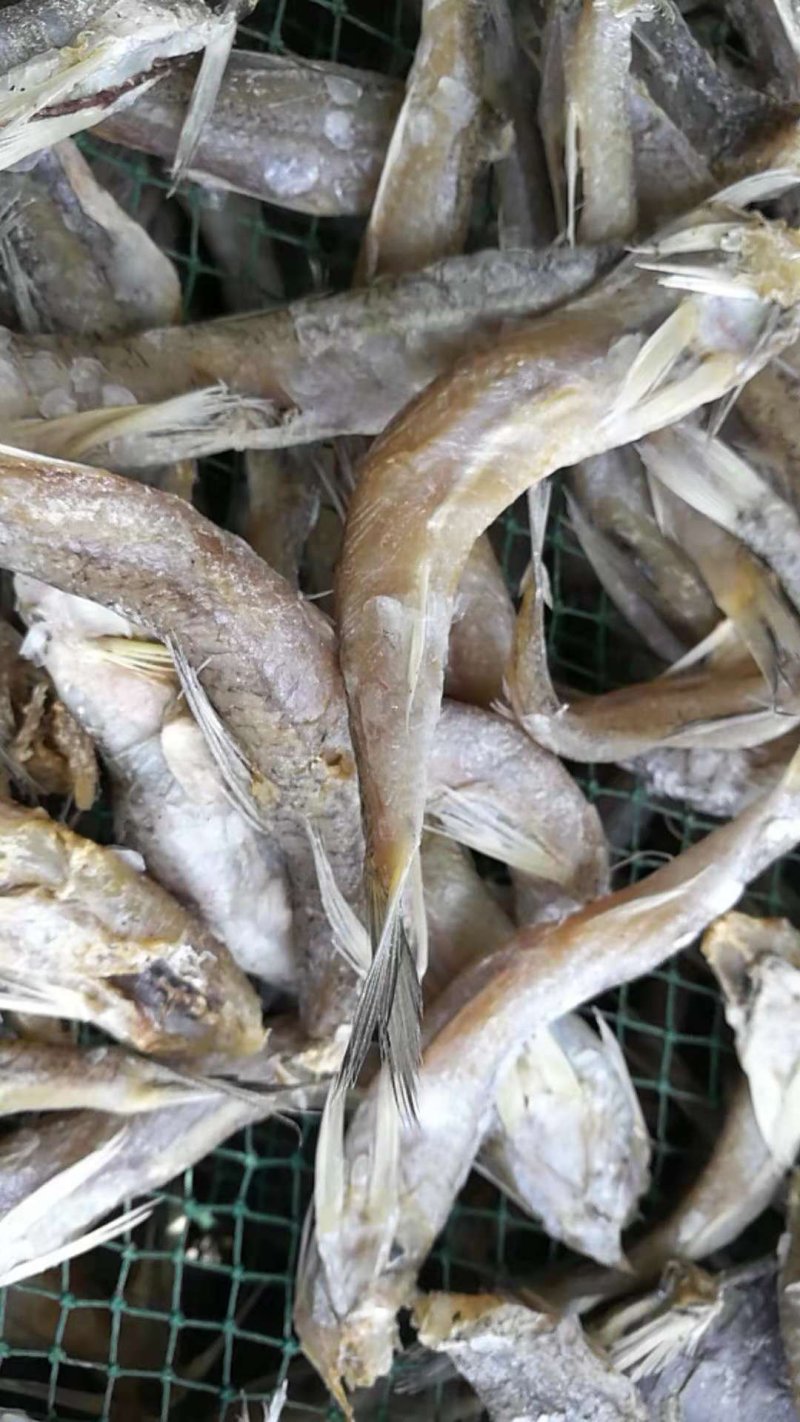 鱼干