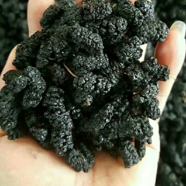 无沙桑椹干桑葚干，不满意退款