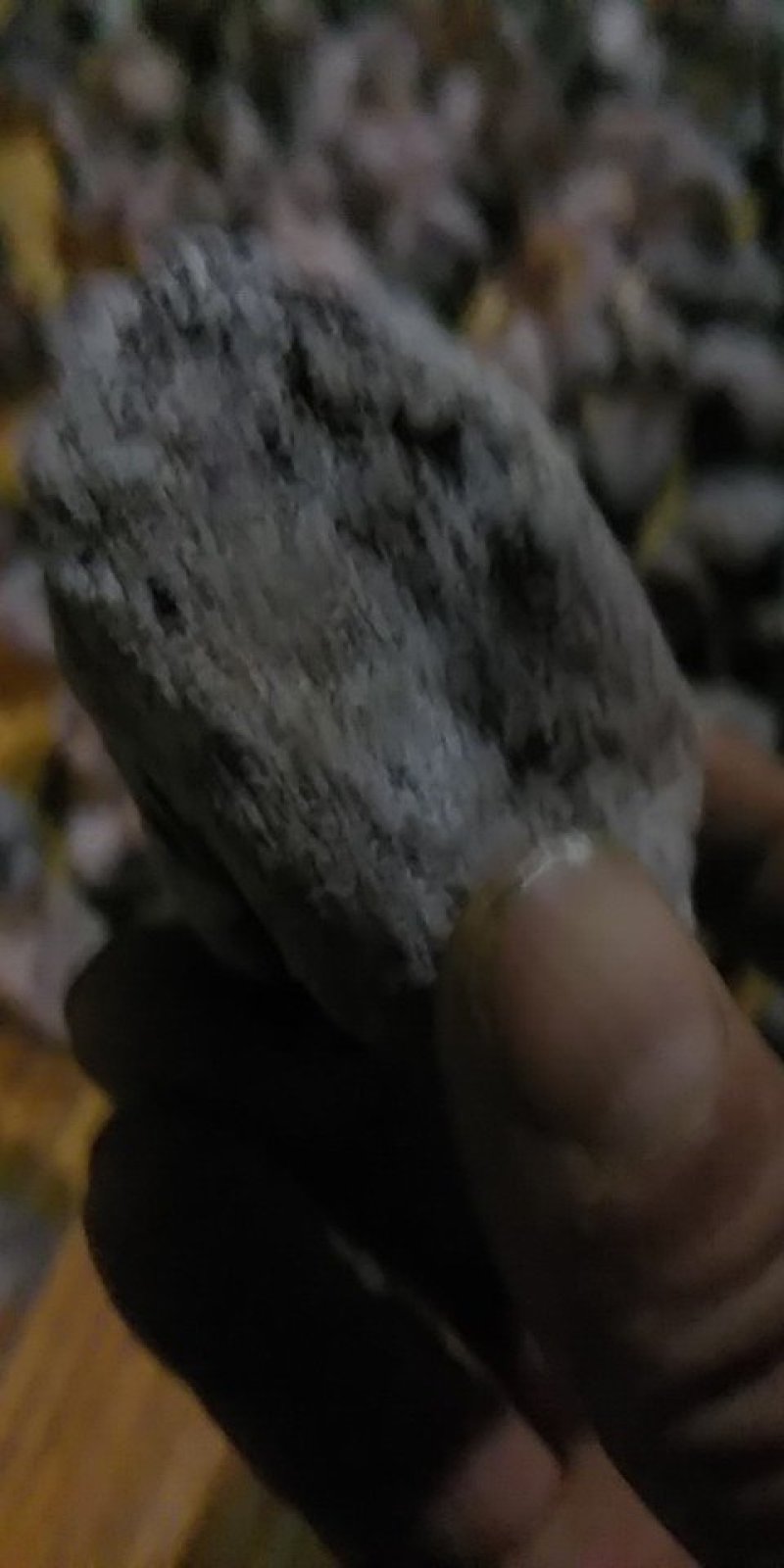 精选蜜柿，一两以上