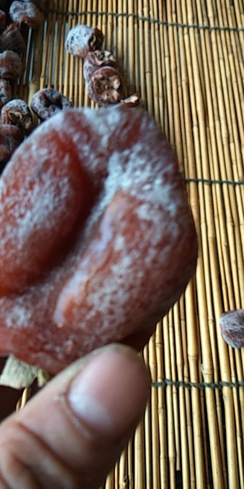 精选蜜柿，一两以上
